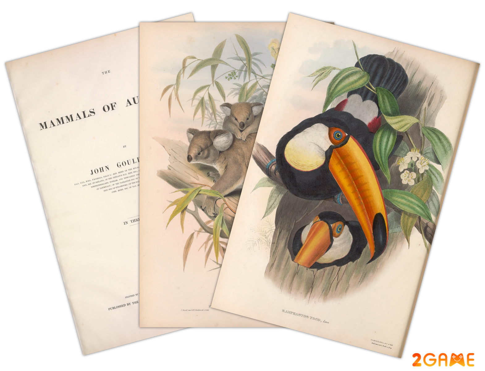 art-of-fauna-1-1